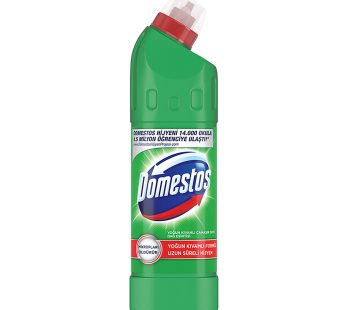 DOMESTOS  DAĞ ESİNTİSİ